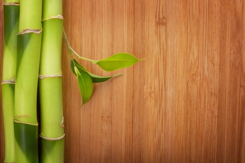 Bambusová podlaha
