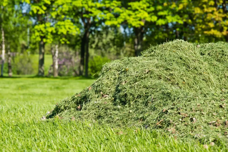 Víte, jak můžete využít posekanou trávu?