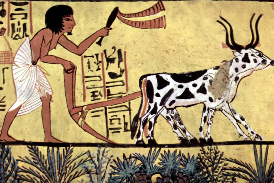 Prvotní popisy neobvyklých tělesných projevů pocházejí ze starověkého Egypta.