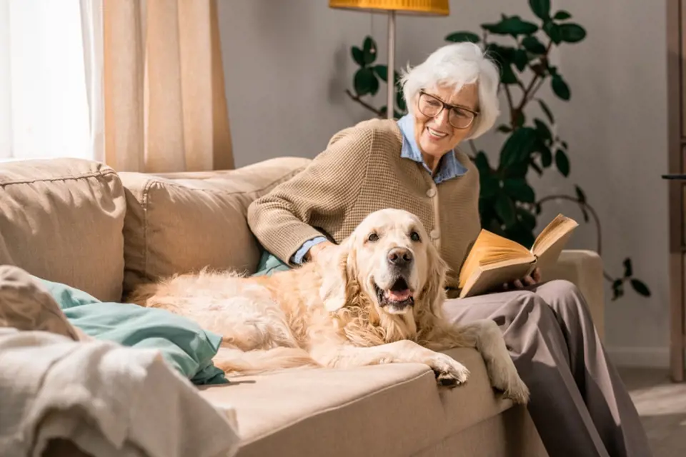 Pro osamělé seniory je milovaný pes nejlepším zpestřením každodenního života.