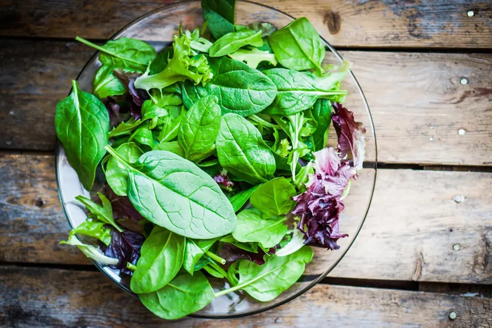 Zeleninový salát není jediným dietním jídlem