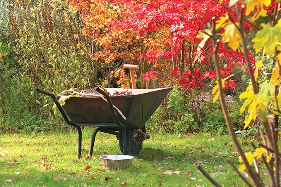 podzimní úklid zahrady