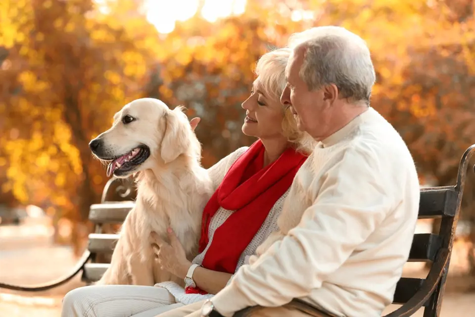 Pes pro seniory často znamená pádný důvod k tomu, aby se udržovali v kondici.