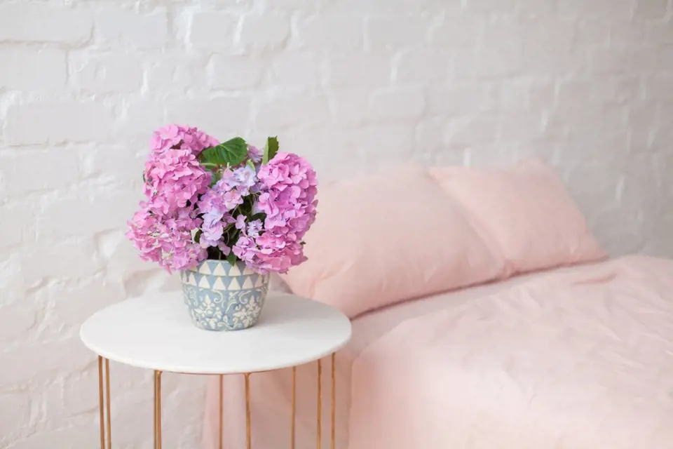 Růžově kvetoucí hortenzie v ložnici.
