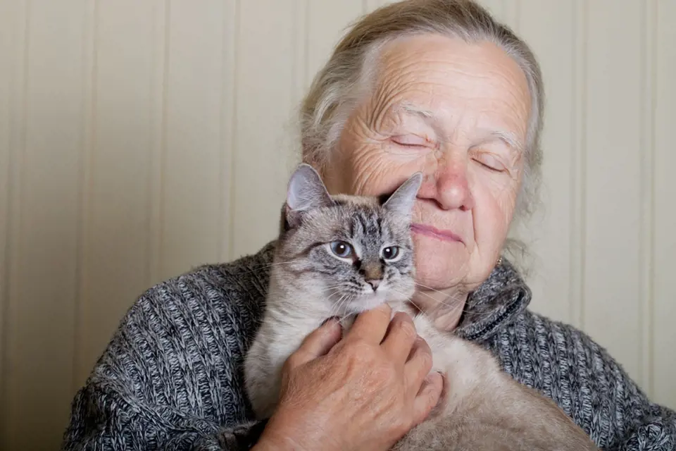 Blízkost koček snižuje projevy stařecké demence.