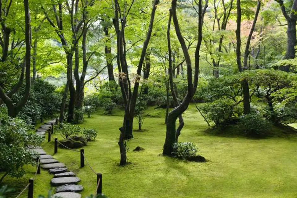 Cesta z nášlapných kamenů v japonské zahradě. Zahrada se nachází v Japonsku v městě Kjóto.