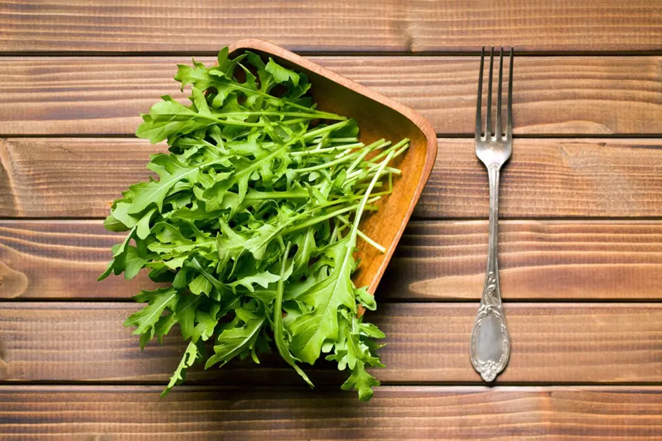 Rukola či roketa (Eruca sativa) je výtečná jarní salátová rostlina.