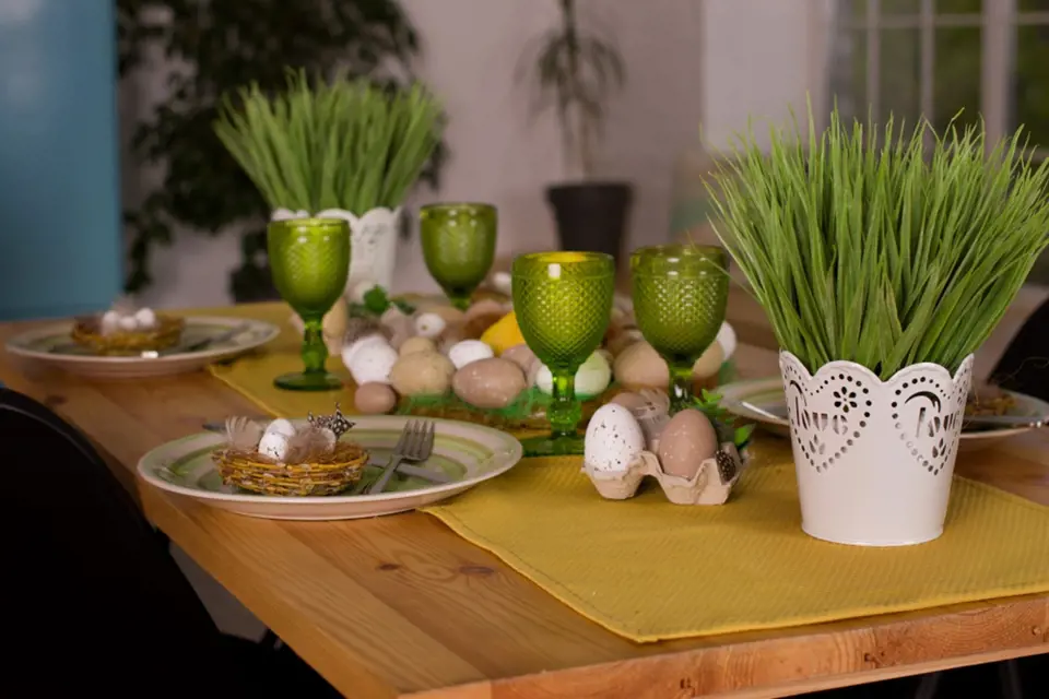 Jarní svěže zelení osení patří i na sváteční stůl.