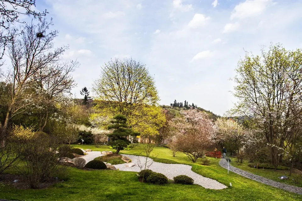 Pohled na jaro v japonské zahradě v pražské Troji.