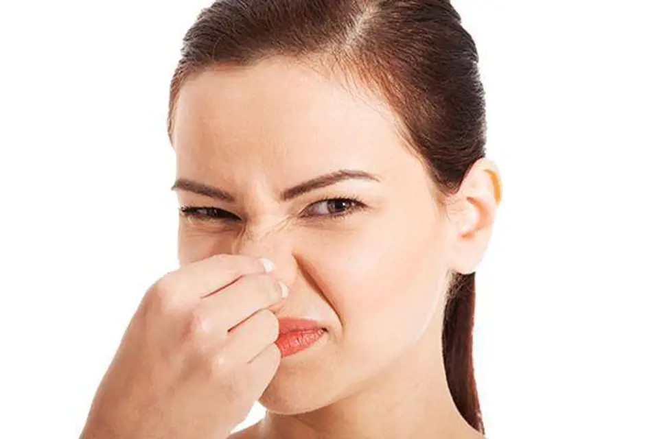 Nos dokáže rozeznat celkem 50 tisíc různých pachů.