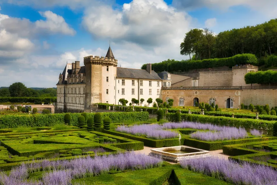 Zámecké zahrady Château de Villandry zdobí bohatě kvetoucí perovskie.