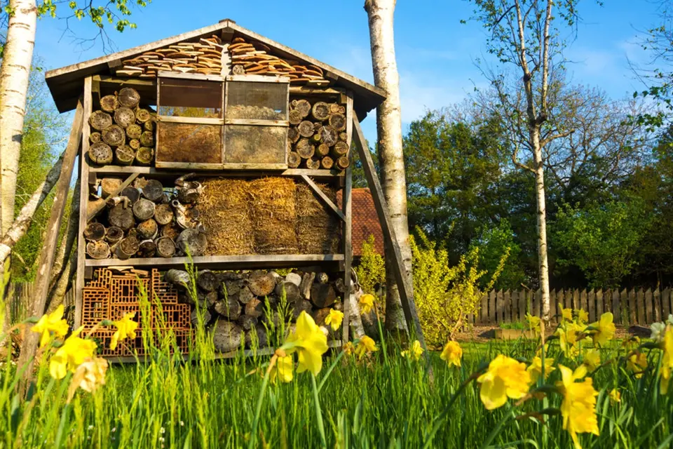 Hotel pro hmyz, komfortní ubytování pro opylující včelky samotářky, zlatoočky, užitečné škvory