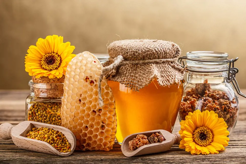 Včelí med, vosk, propolis a pyl neboli včelí chléb