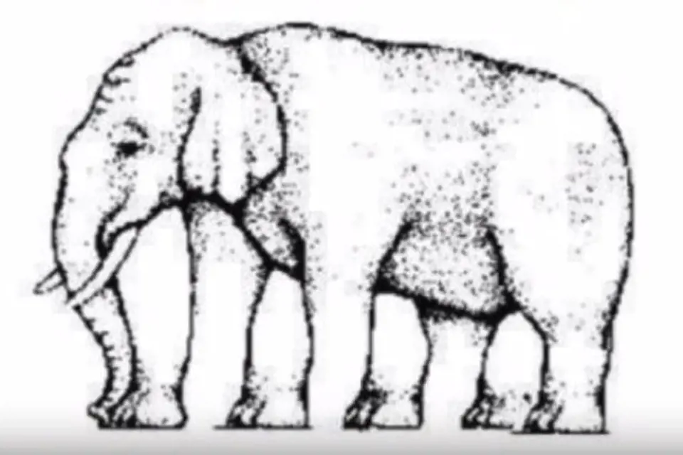 Tohle je zajímavý test. Dokážete spočítat, kolik nohou má slon na obrázku? Máte na to 20 vteřn.