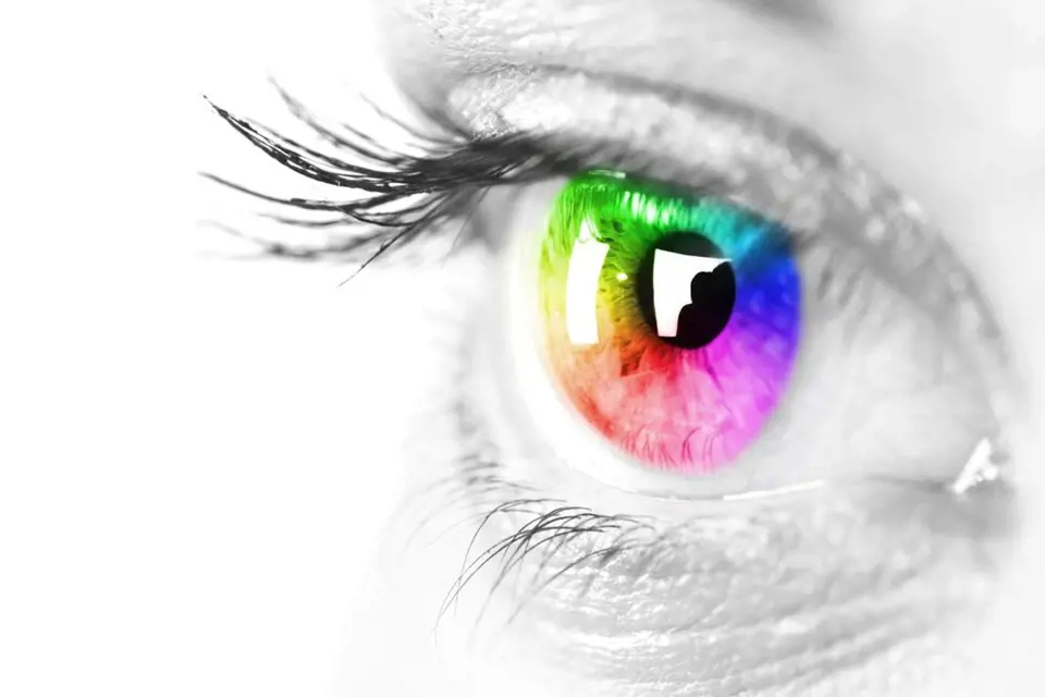 Zjistěte, jak nalíčit oči, aby jejich barva skutečně vynikla, a jakou výjimku mají hnědé oči