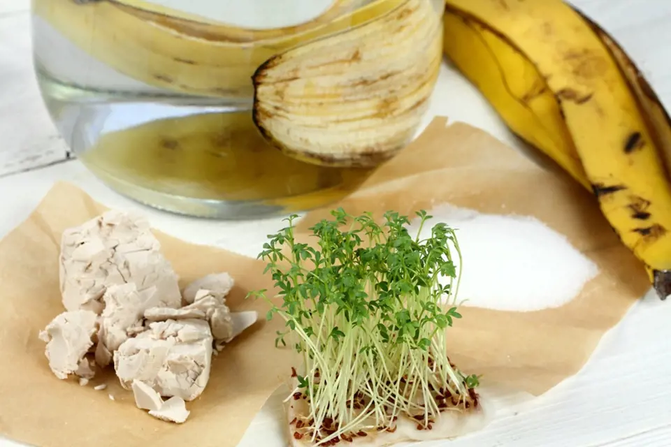 Vyzkoušejte osvědčené babské rady- slupku z banánu, droždí nebo výluh z kopřiv.