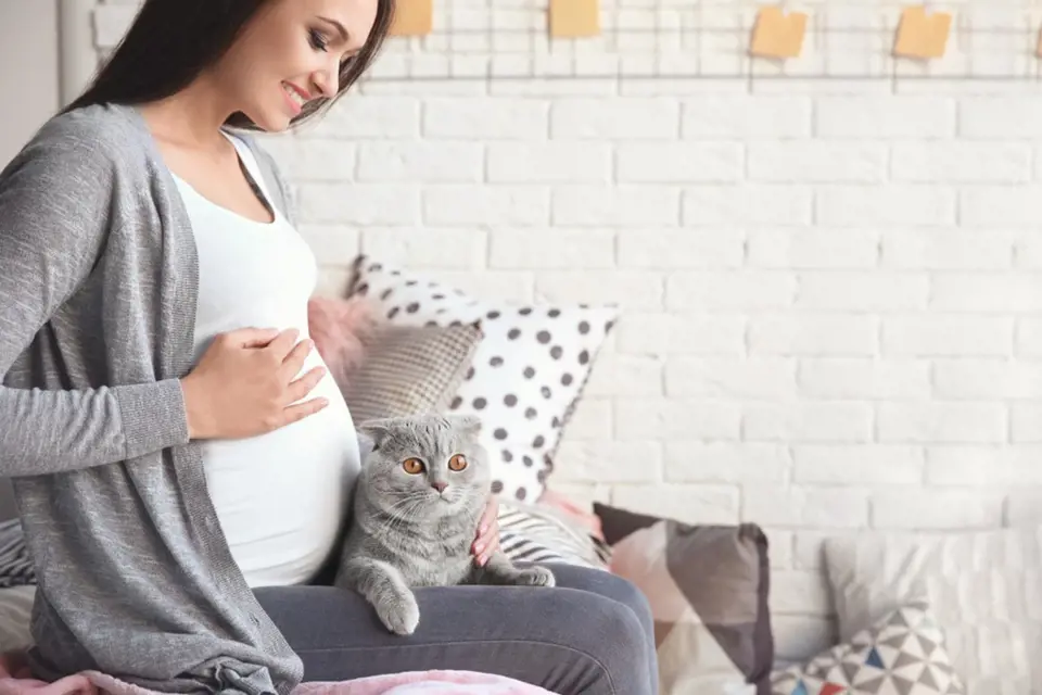 Těhotenství nemusí být pro život s kočkou překážka.
