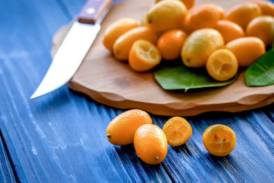 Komquat přípomíná malé pomeranče