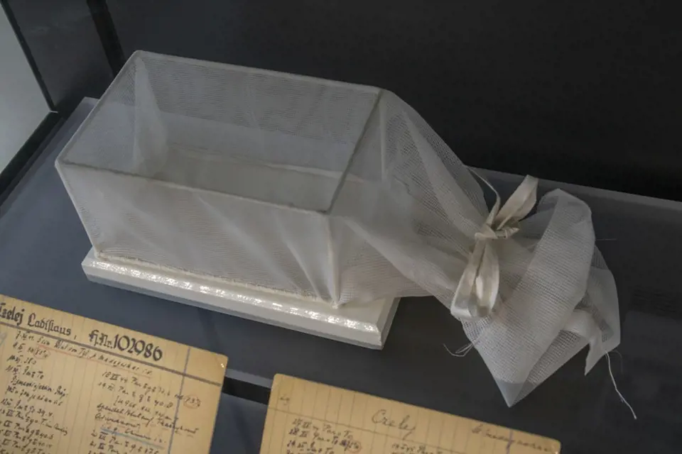 Box pro uchování malarických komárů, kterými byli vězni infikování.