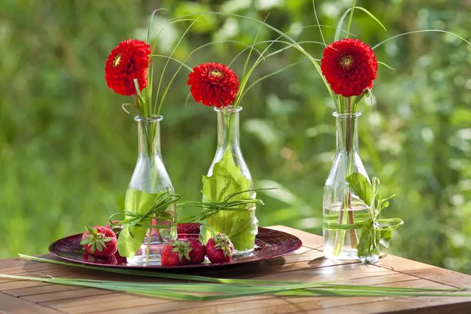 Zkuste si staré skleněné lahve přeměnit na originální vázy. Dozdobte je sytě zelenými listy různých stromů. Přiložte je k láhvi a ovažte kolem zeleným lýkem. Pak už do každé stačí vložit jeden výrazný květ jiřiny a máte zajímavě ozdobený stůl....
