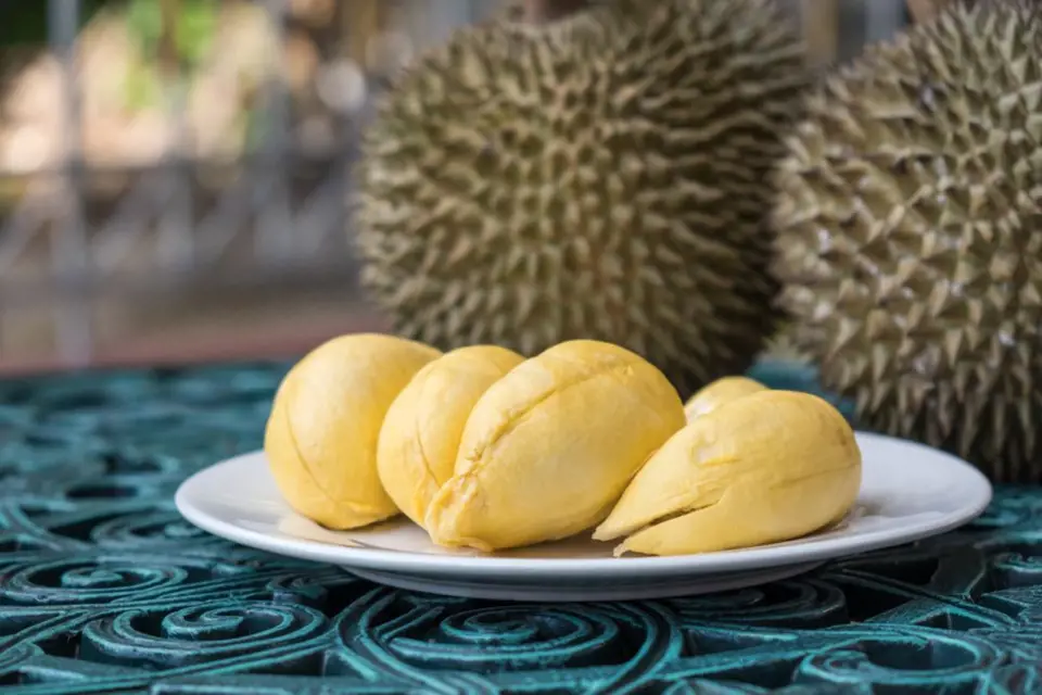 Dužina durianu připravená ke konzumaci