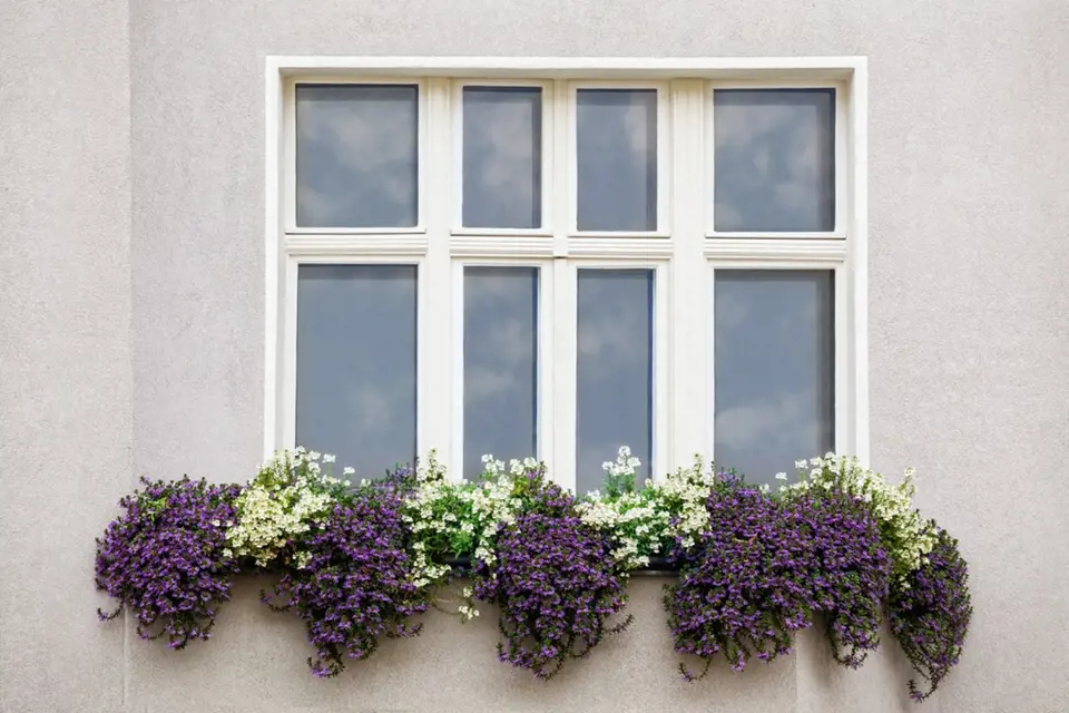 Zajímavou variantou osázení okenních truhlíků je symetrické uspořádání.