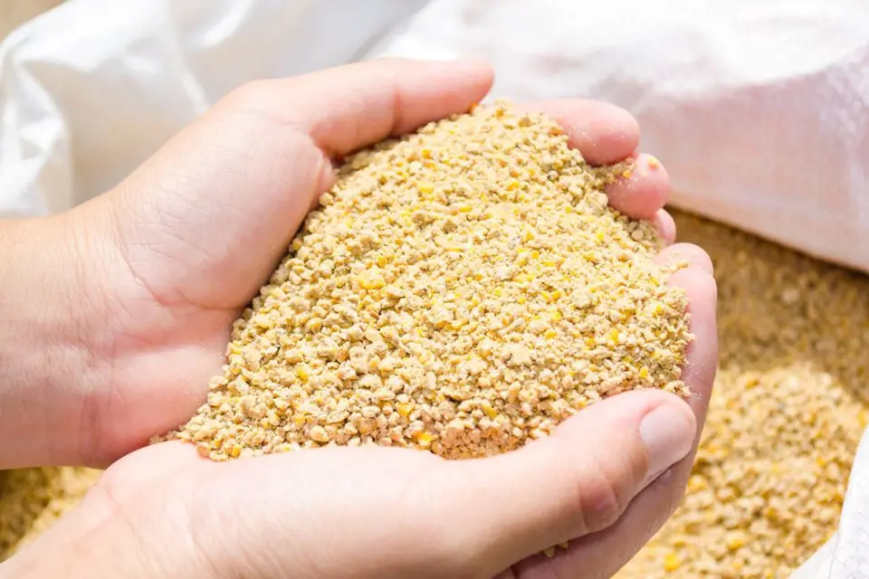 Šrotovaná krmná směs je k dostání v chovatelských potřebách