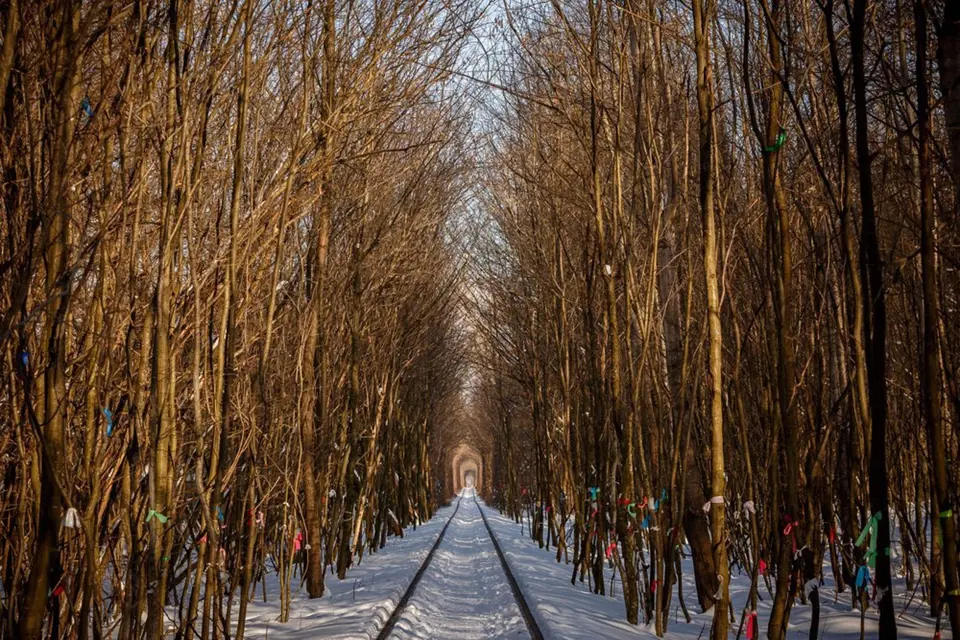 V zimě odhalí stromy "vzkazy" od návštěvníků.