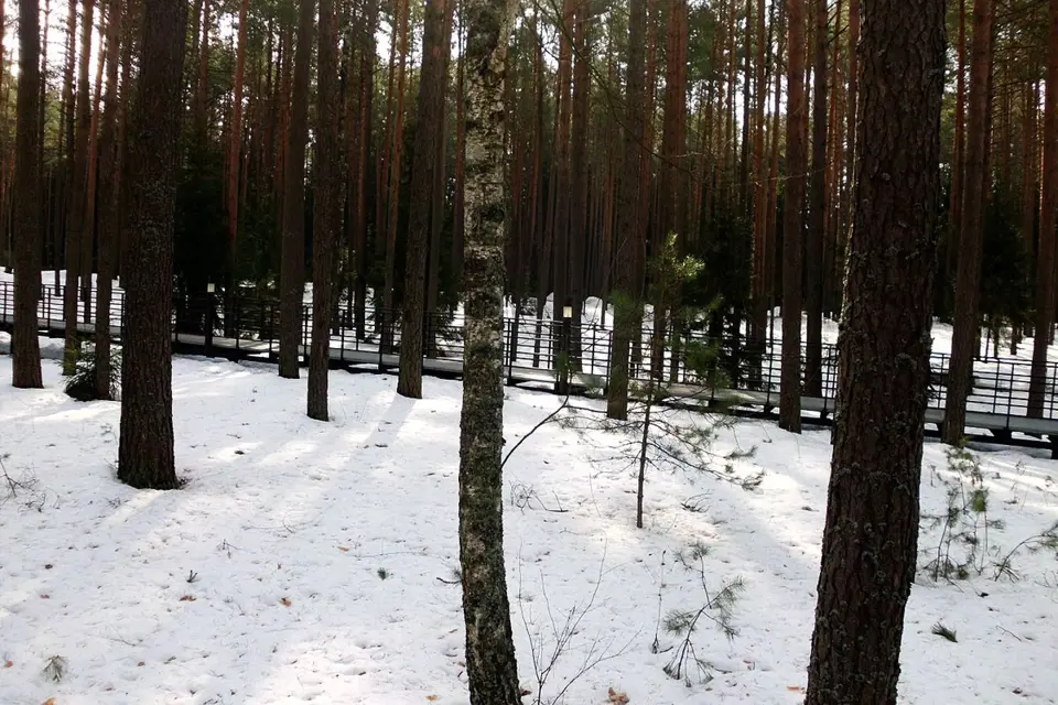 Katyňský les, současnost