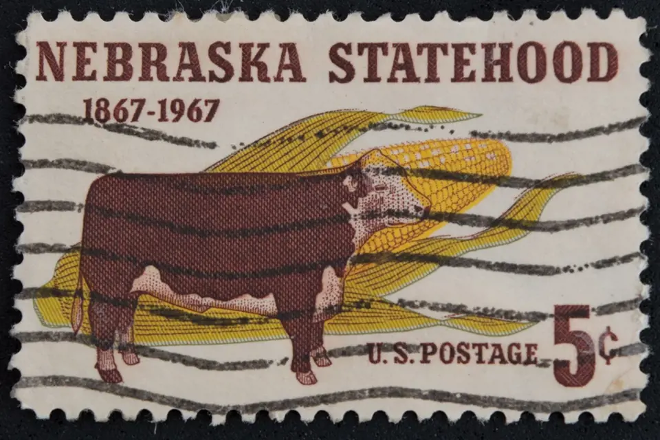 19. století a kukuřice na poštovních známkách.