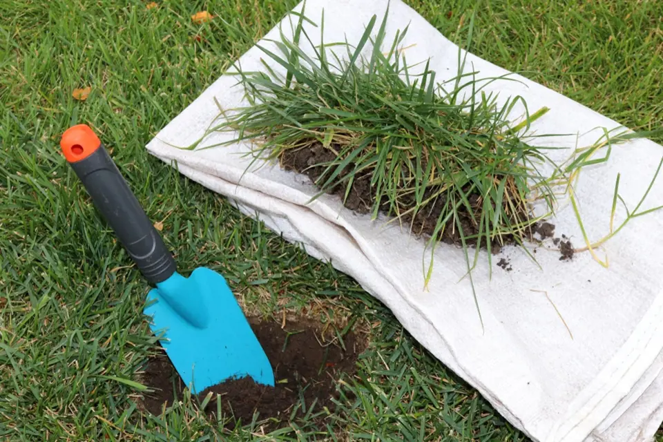 Tam, kde trávník prorůstá do záhonů, vyryjte drn a použijte jej na opravu holého místa.