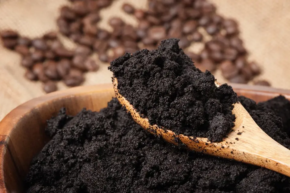 Kávová sedlina má mnoho využití