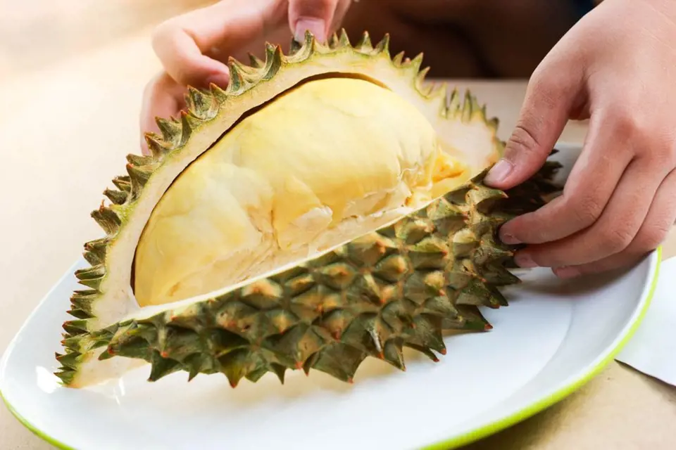 Dostat se k lahodné dužině durianu není úplně snadné