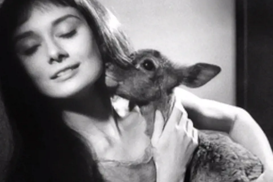 Audrey Hepburn měla srnečku jménem Pippin.