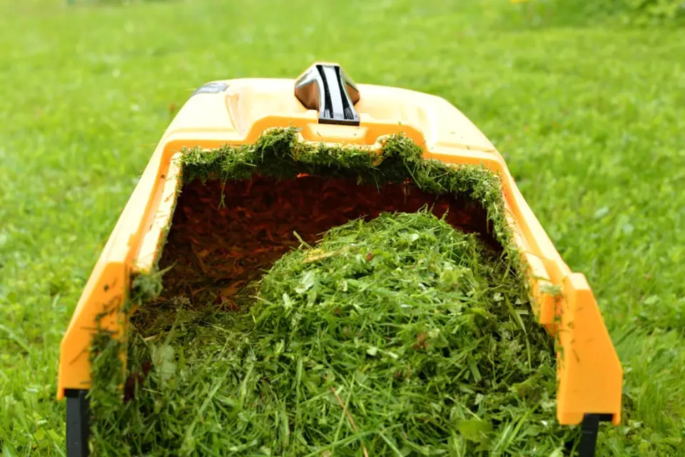 Posekanou trávu uložíme do kompostu nebo zaryjeme.
