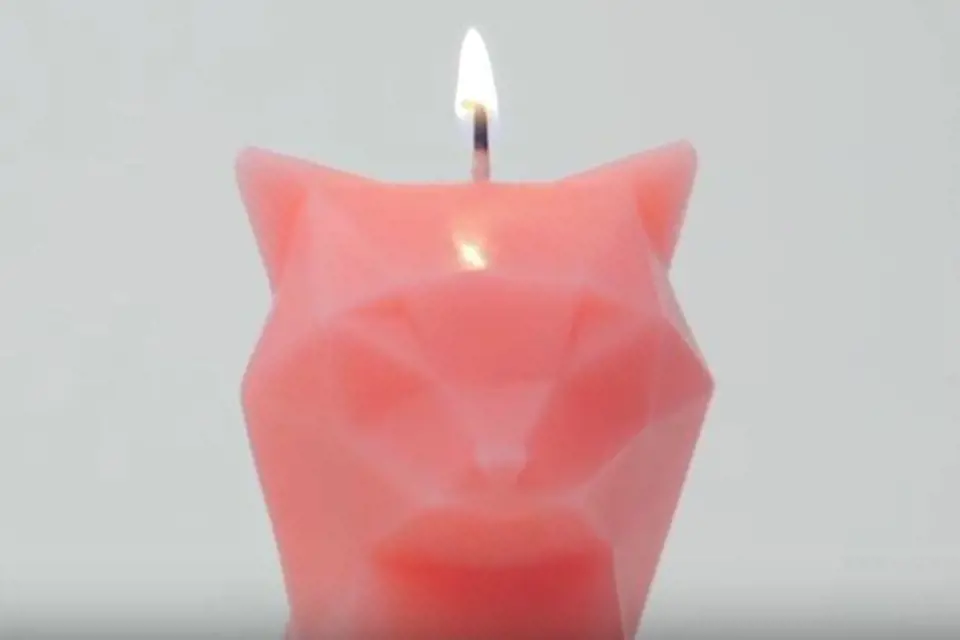 Kočičí svíčka – islandská designérka vymyslela něco hodně bizardního – svíčku ve tvaru kočky, která když celá vyhoří, odhalí, že má v sobě ukrytou kovovou kostru kočky