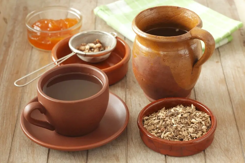 Z puškvorcového kořene můžeme připravit léčivý čaj.