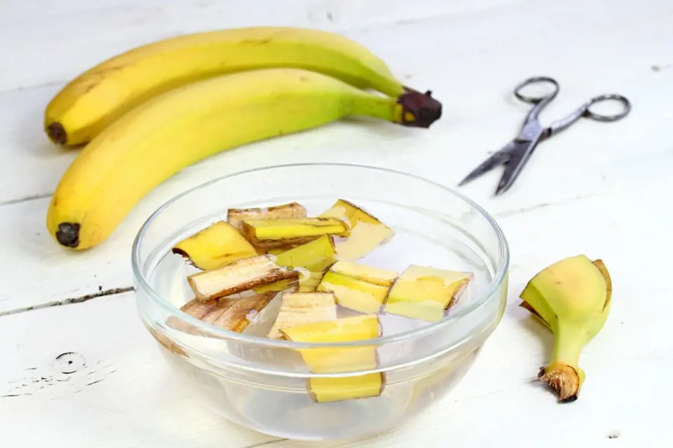 Vyluhováním banánových slupek můžeme připravit hnojivo.