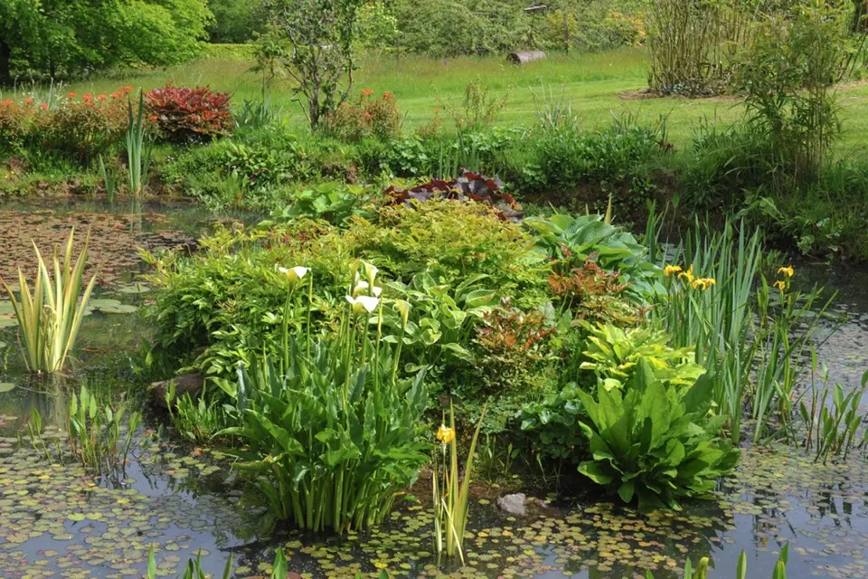 Pohled na vodu v zahradě přináší zvlášť v létě důležité osvěžení.