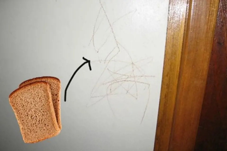 Střídka chleba překvapivě zabírá na různé skrvny na zdi.