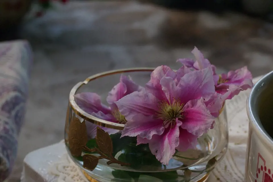 Drobný květinový detail na malý zahradní stolek