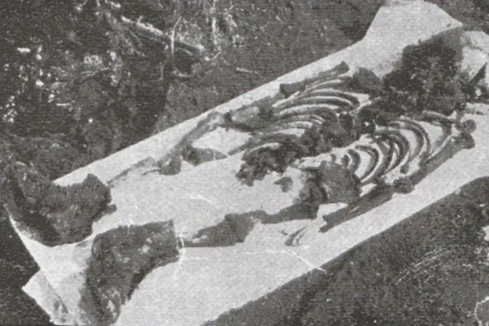 Kostra pětiletého Bedřicha, kterého Štěpánek zavraždil již v roce 1928.