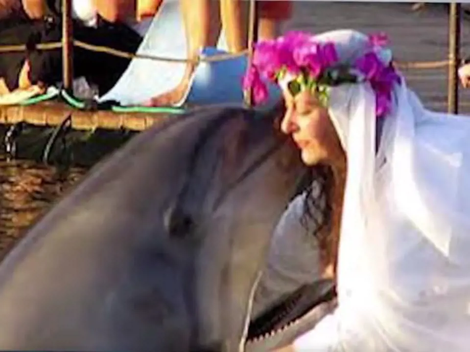 Sharon svého delfína prý opravdu miluje!
