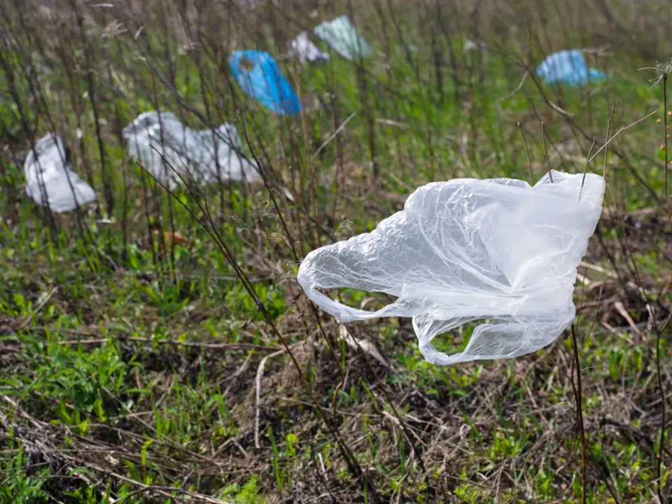 Plastové sáčky nejen, že se dlouho rozkládají, ale představují nebezpečí i pro zvířata.