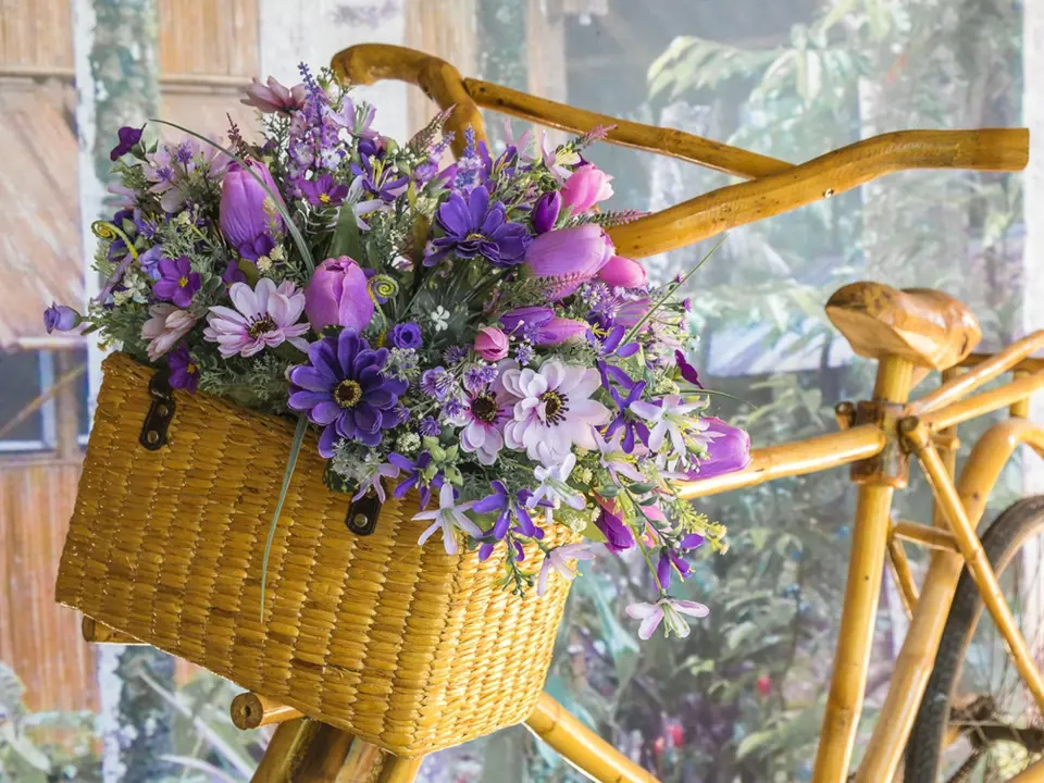 Květiny v košíku jsou nádherná dekorace i skvělý dárek.