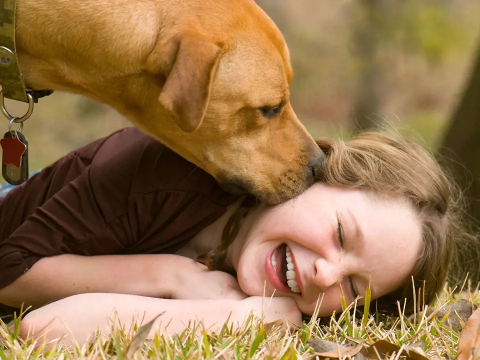 Psi nám dokazují denně svou bezpodmínečnou lásku a oddanost. 