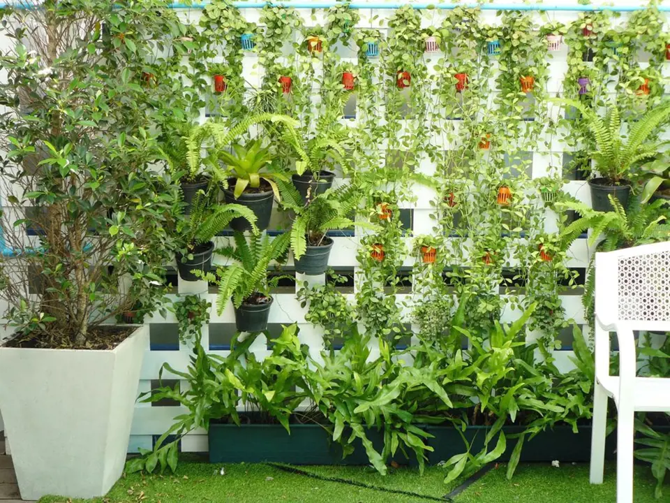 Zelenou stěnu lze vytvořit i jednodušeji, s pomocí klasických květináčů