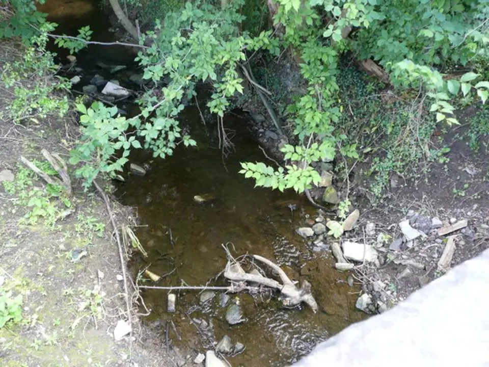 Lesní potok, který si vzal 4. července 1838 26 dětských životů