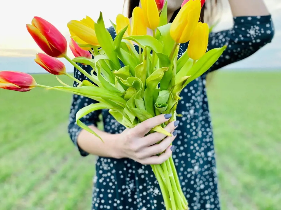 K řezu jsou nejvhodnější tulipány s dlouhými stonky.