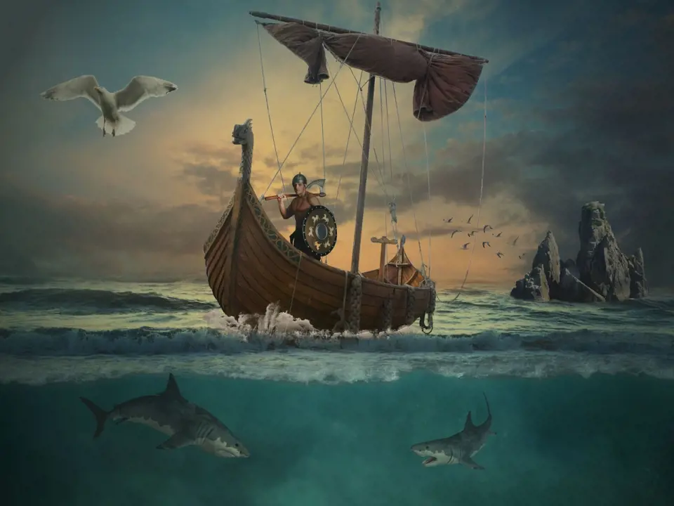 Vikingové používali k orientaci i dráhy ptáků a tahy velryb.